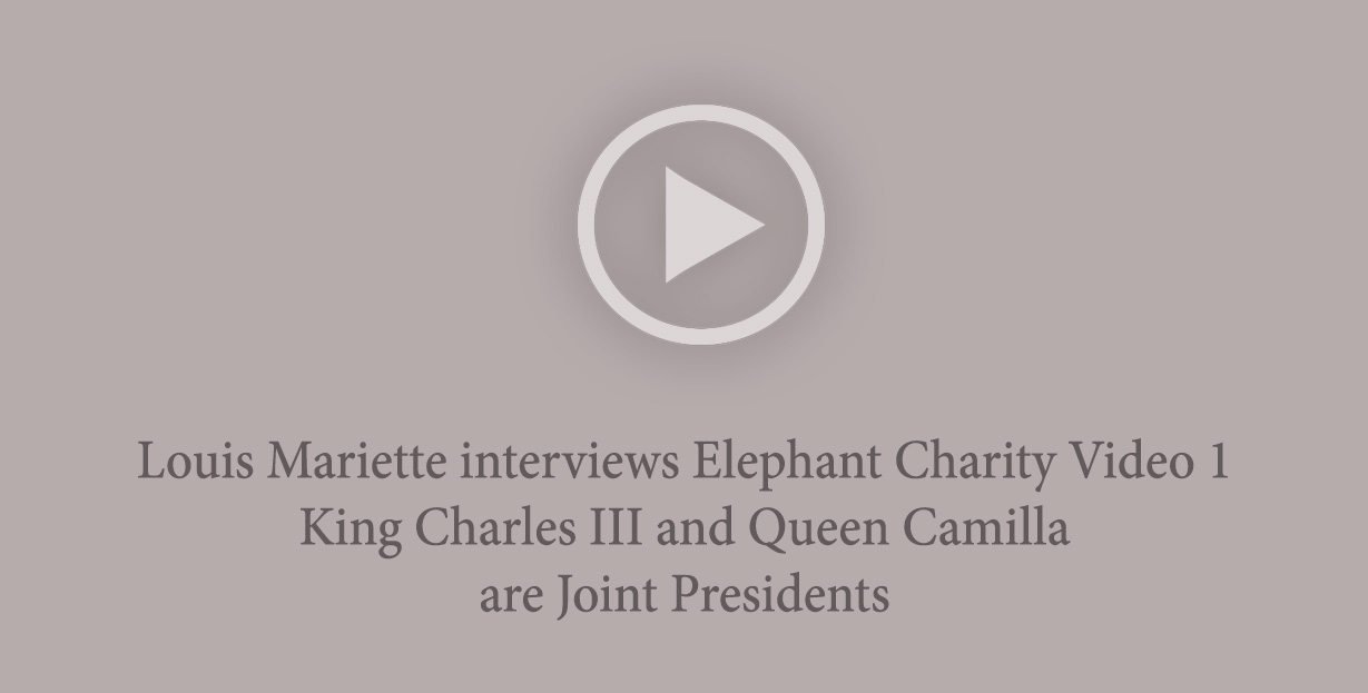 Louis Mariette interviews Elephant Charity Video 1 – King Charles III and Queen Camilla are Joint Presidents