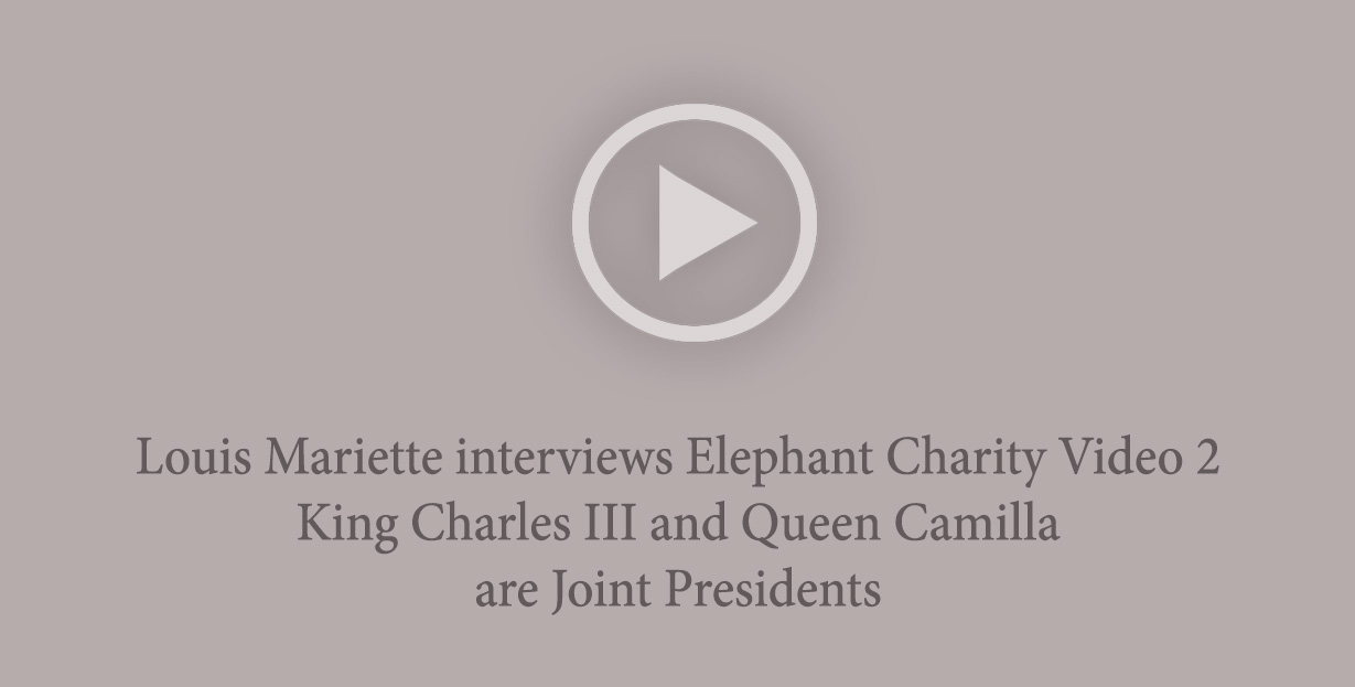 Louis Mariette interviews Elephant Charity Video 2 – King Charles III and Queen Camilla are Joint Presidents